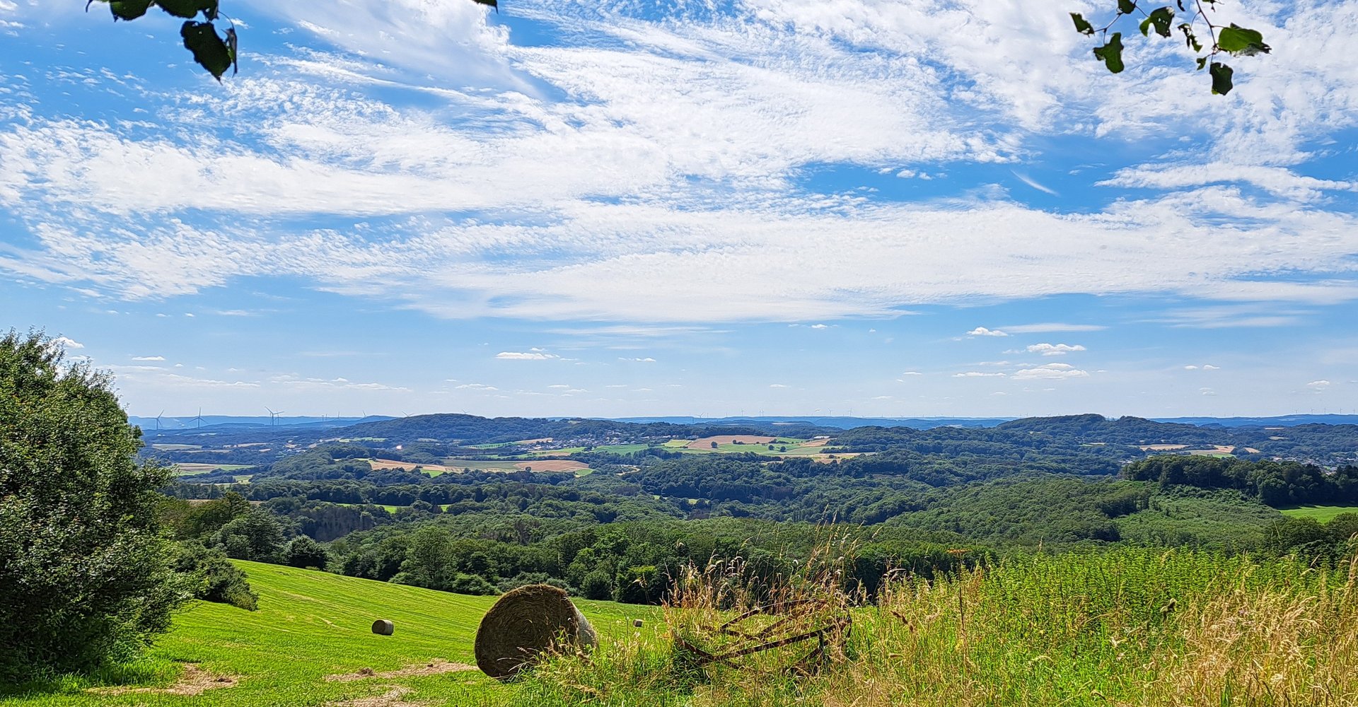 Weitblick ins Tal mit grünen Bäumen und Feldern. Der Himmel ist blau mit Schleierwolken.