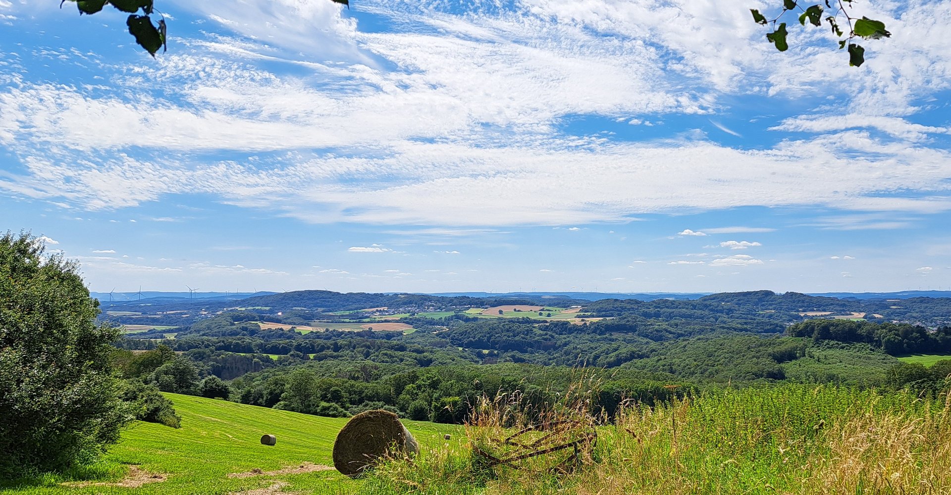 Weitblick ins Tal mit grünen Bäumen und Feldern. Der Himmel ist blau mit Schleierwolken.