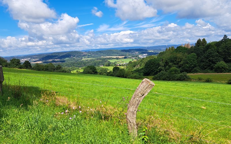 Im Vordergrund ist ein Zaunpfahl aus Holz zu sehen. Dahinter liegt eine grüne Wiese mit Weitblick in die Landschaft.